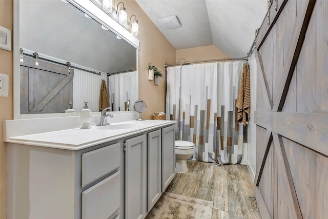 bathroom with vanity, hardwood / wood-style floors, a textured ceiling, and toilet