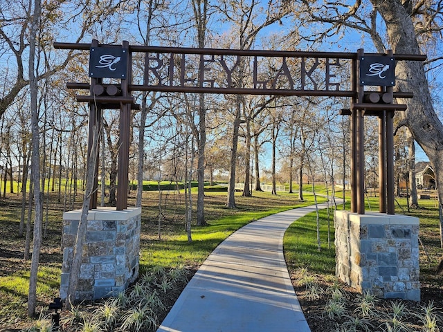 32650 Fly Fish Way, Fulshear, TX 77441 - view of community