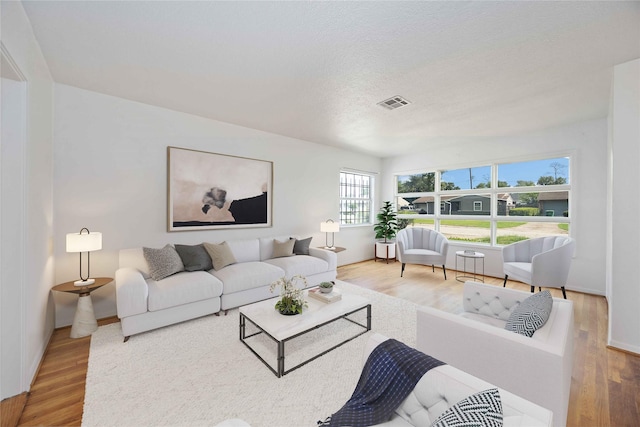 living room featuring a textured ceiling and hardwood / wood-style floors