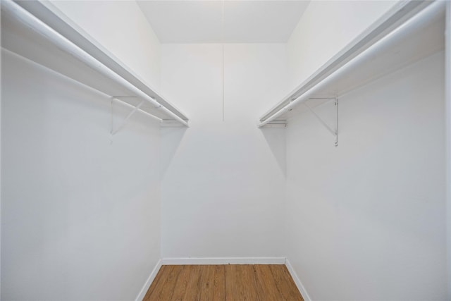 spacious closet featuring hardwood / wood-style floors