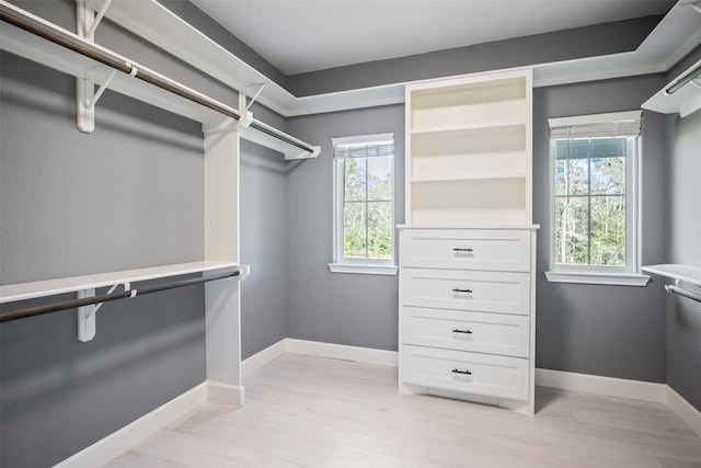 walk in closet featuring light wood-style flooring