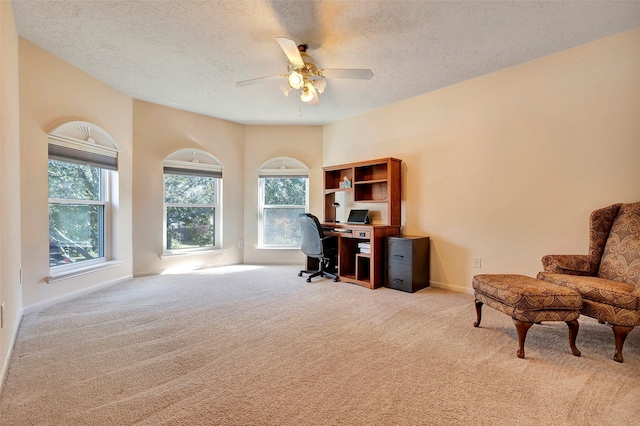 office area featuring light colored carpet, plenty of natural light, a textured ceiling, and baseboards