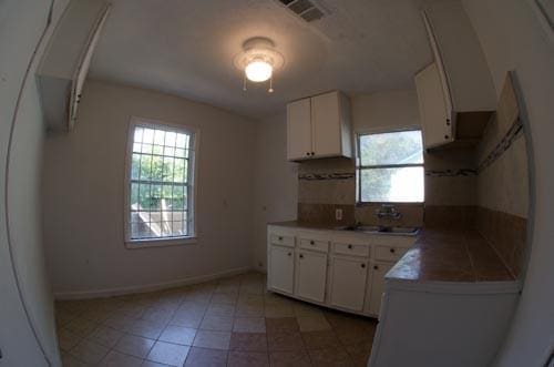 kitchen featuring sink, white cabinets, and decorative backsplash