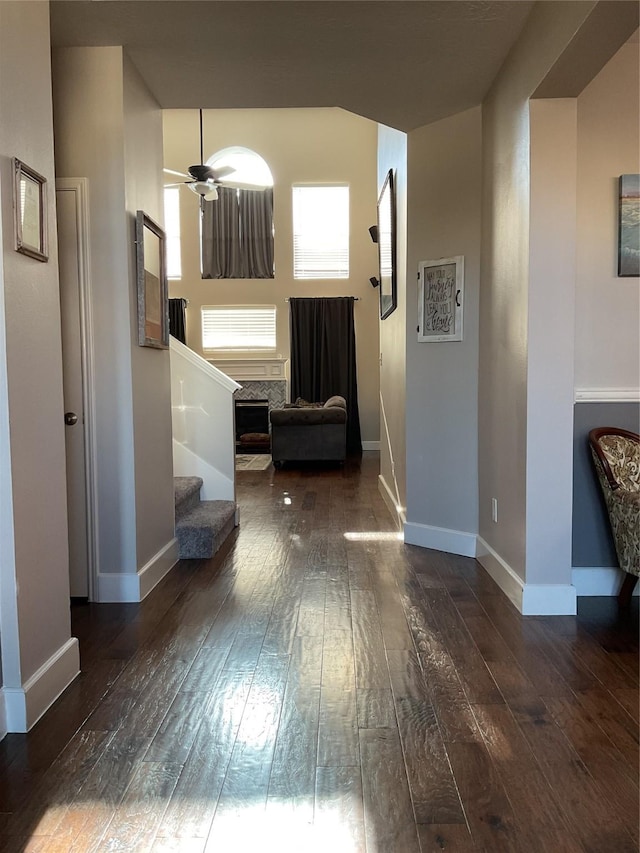 corridor with dark hardwood / wood-style floors