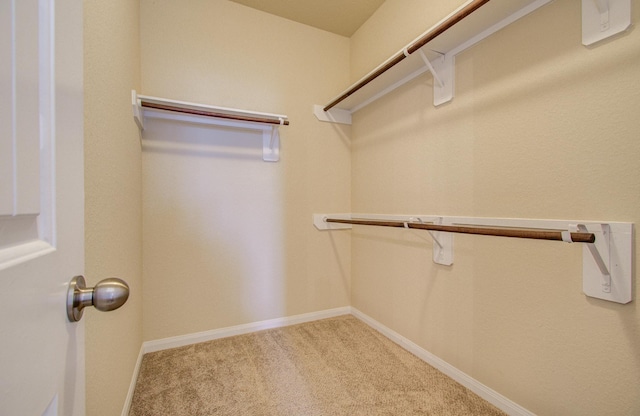 spacious closet with carpet floors