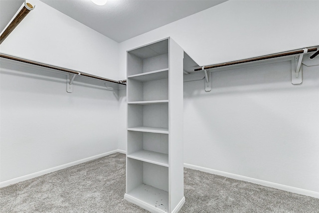 walk in closet featuring carpet floors