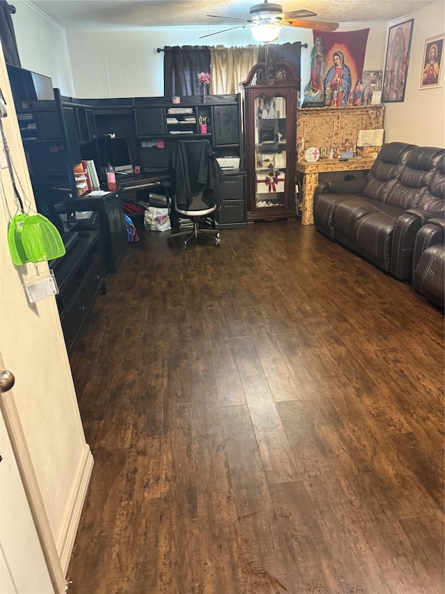 living room with ceiling fan and dark hardwood / wood-style floors