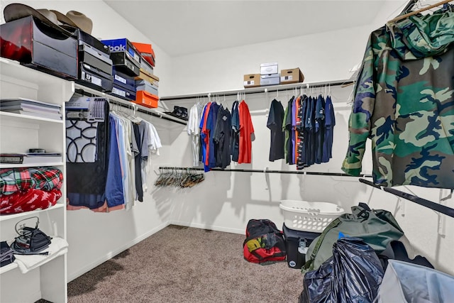 walk in closet with carpet floors