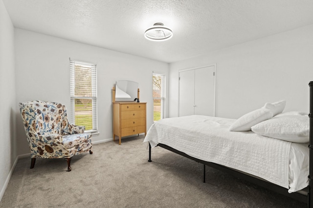 carpeted bedroom featuring multiple windows, a closet, and a textured ceiling