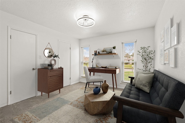 living area with light carpet and a textured ceiling