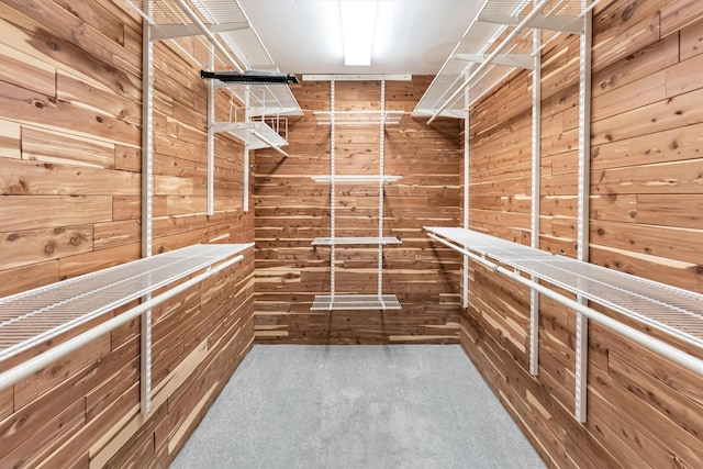 spacious closet with carpet flooring