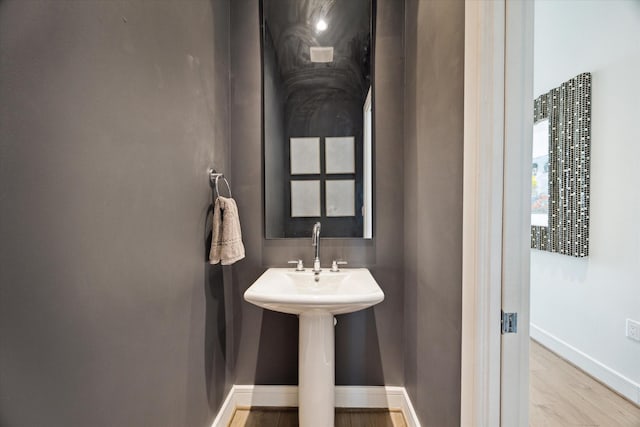 bathroom featuring wood-type flooring