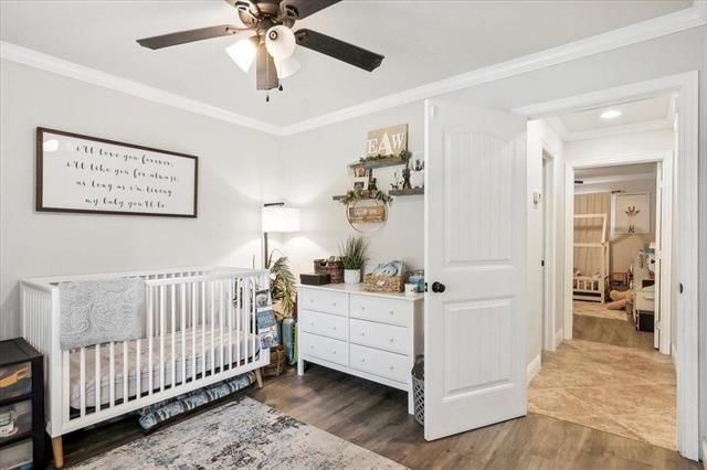 bedroom featuring ceiling fan, ornamental molding, and dark hardwood / wood-style floors