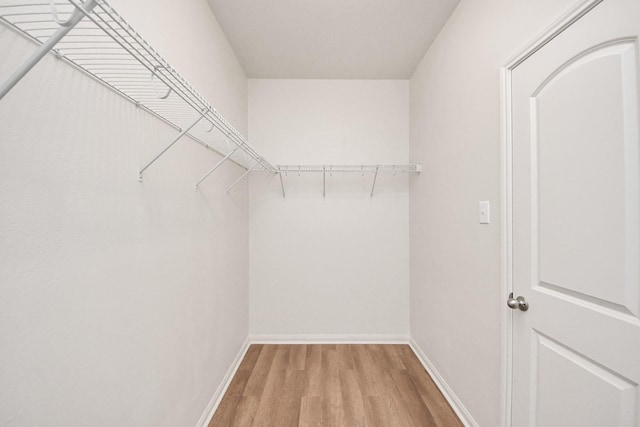 walk in closet featuring wood finished floors