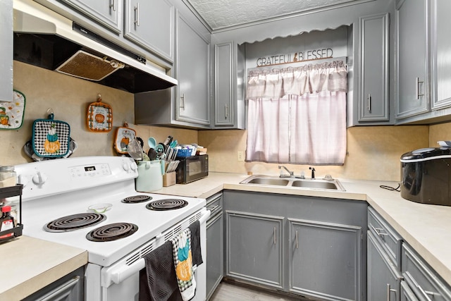 kitchen with white range with electric stovetop, sink, gray cabinetry, and a textured ceiling