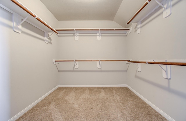 spacious closet featuring carpet floors