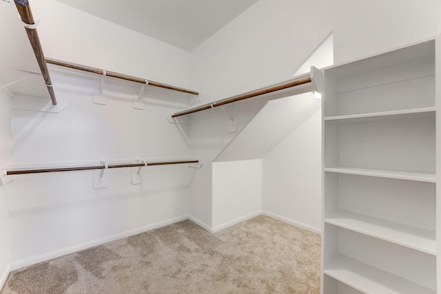 spacious closet with light colored carpet