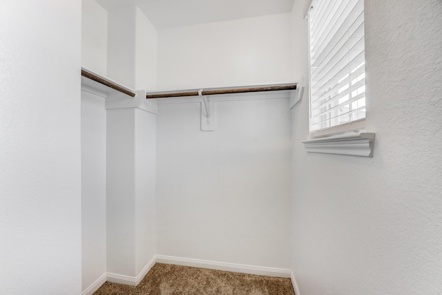 walk in closet featuring carpet flooring