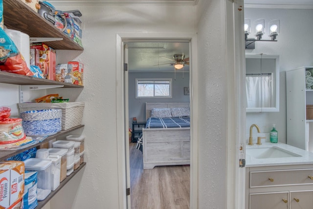 pantry with sink