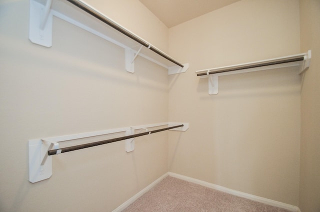 spacious closet with carpet