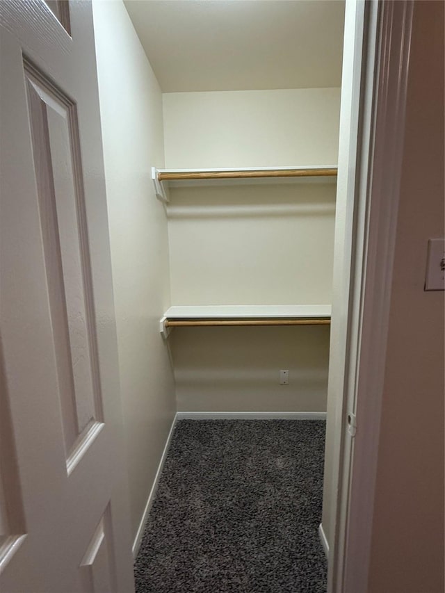 walk in closet featuring carpet