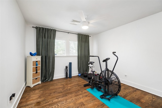 workout area featuring dark wood-type flooring and ceiling fan