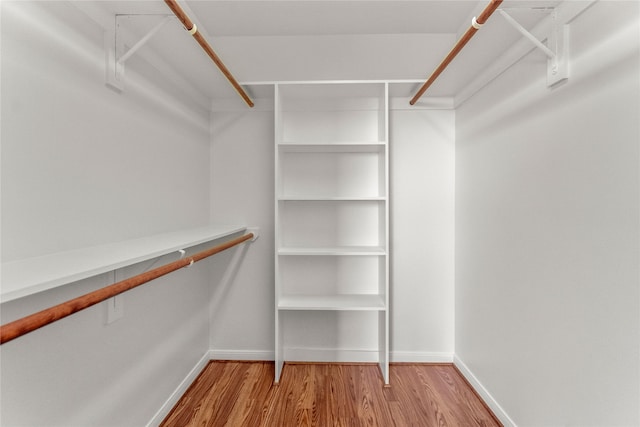 spacious closet with light wood-type flooring