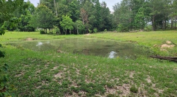 view of landscape with a water view