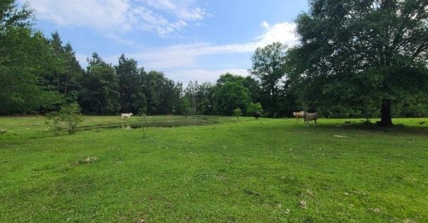 view of yard featuring a rural view