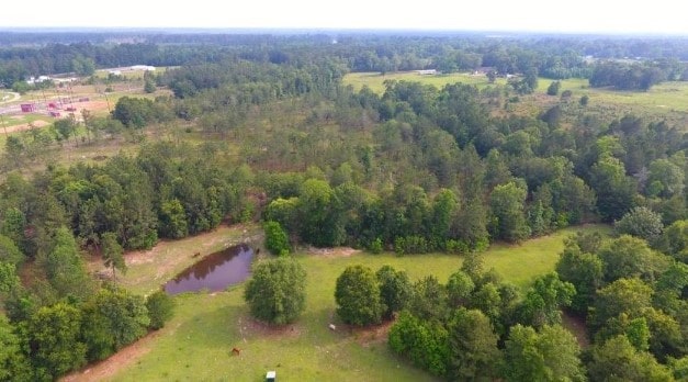 drone / aerial view with a water view and a forest view