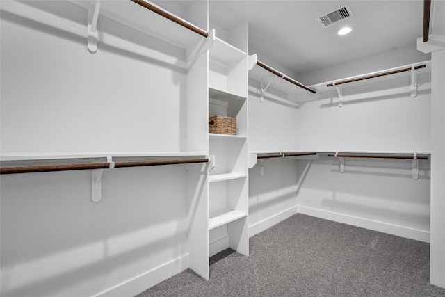 spacious closet featuring carpet floors