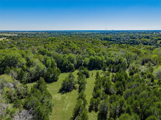 Listing photo 3 for TBD Fm 1457, Round Top TX 78954