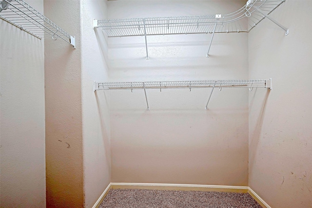 walk in closet with carpet