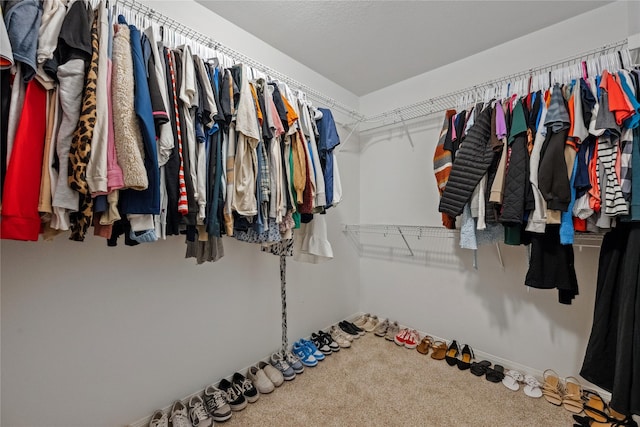 view of spacious closet