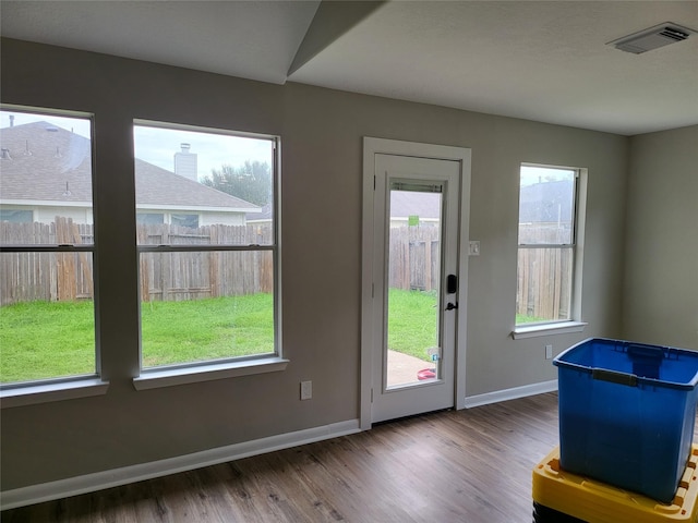 entryway featuring wood-type flooring