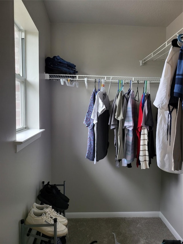 walk in closet featuring carpet floors