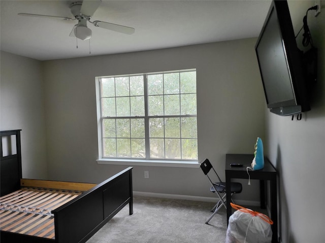 carpeted bedroom with ceiling fan and multiple windows