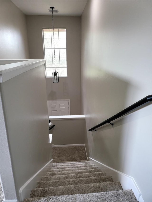 staircase with carpet