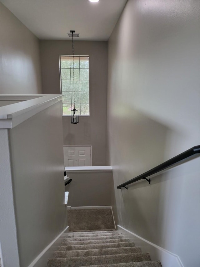 stairway with carpet flooring