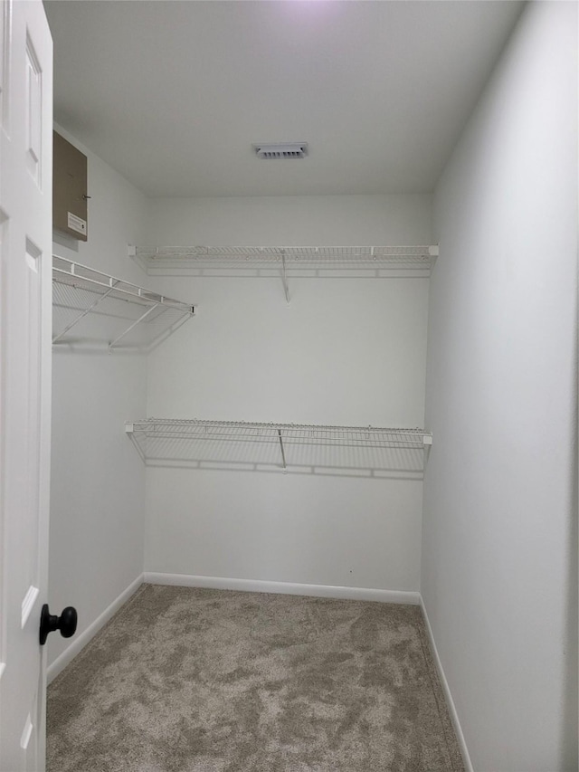 walk in closet with carpet floors