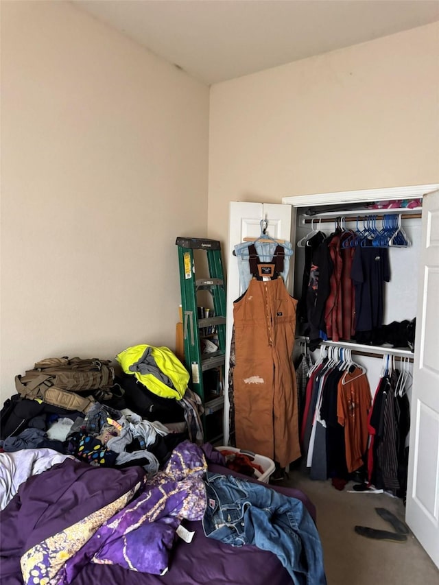 bedroom featuring a closet and carpet floors