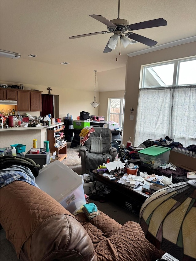 living room with ceiling fan