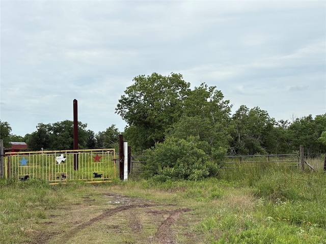 TRACT5 Brumbelow Rd, Needville, TX 77461 - photo 8