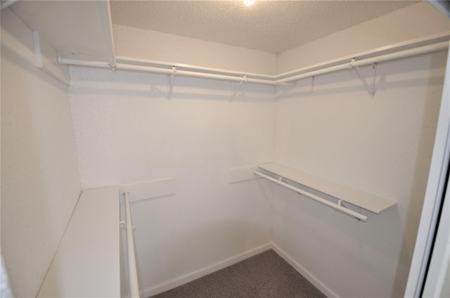 spacious closet with carpet floors