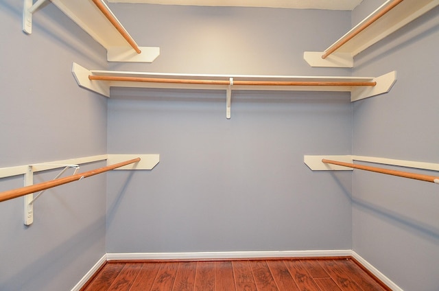 walk in closet featuring wood finished floors