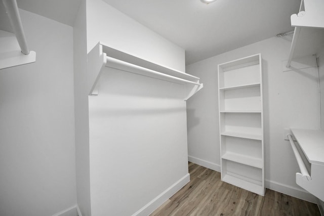 spacious closet featuring light hardwood / wood-style flooring