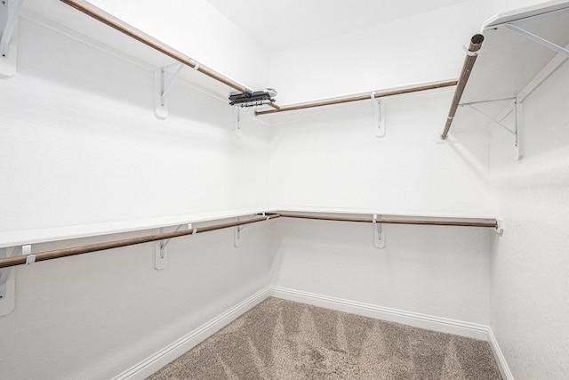 spacious closet featuring carpet flooring