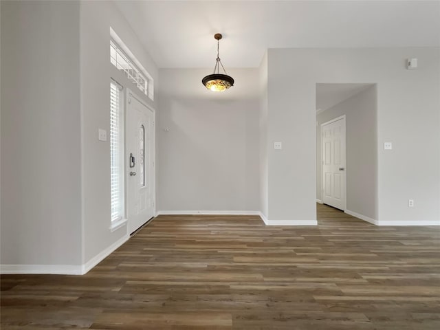 foyer with dark wood-type flooring