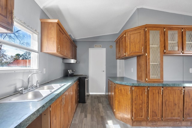 kitchen with brown cabinetry, lofted ceiling, stainless steel electric range oven, glass insert cabinets, and a sink