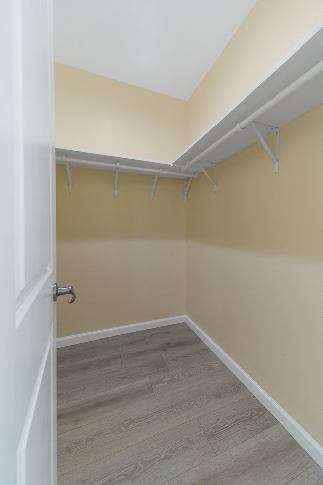 walk in closet with wood finished floors